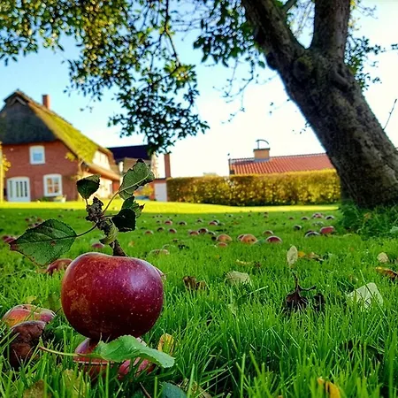 Lejlighed Alte Schmiede